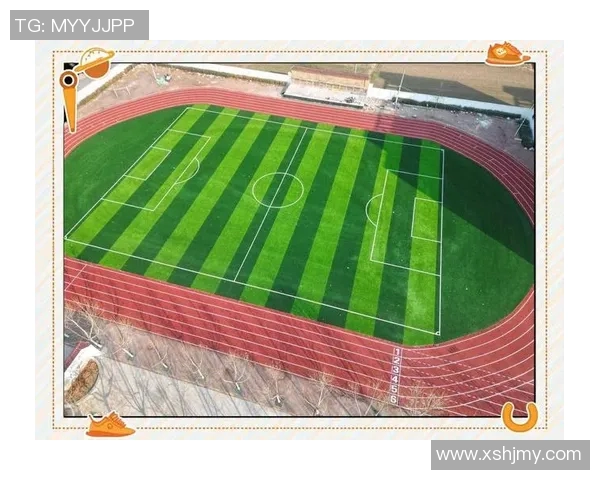 如何在家中打造一个理想的足球场体验与设计指南