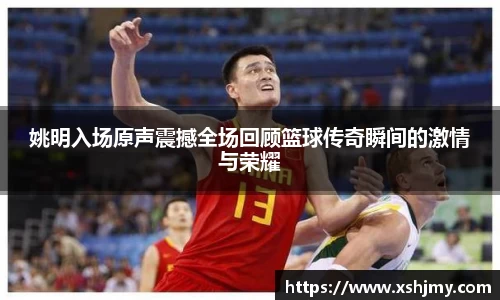 姚明入场原声震撼全场回顾篮球传奇瞬间的激情与荣耀